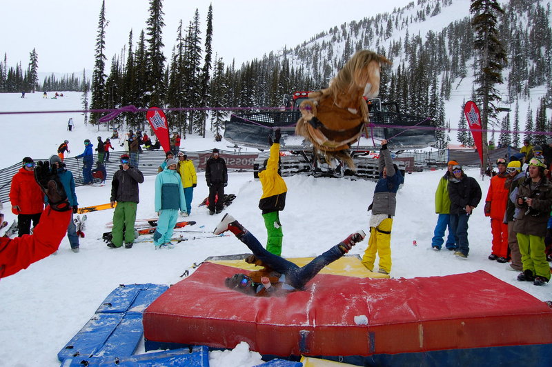 Carter Mcmillan gettin bucked. Wrangle the Chute Feb 6th 2011. Zoya Lynch Photo